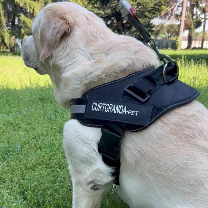 Pettorina personalizzata