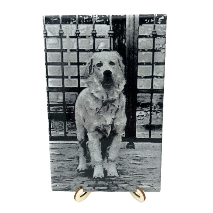 Piastrella Personalizzata Incisa al Laser  | Immagine e Testo Personalizzati