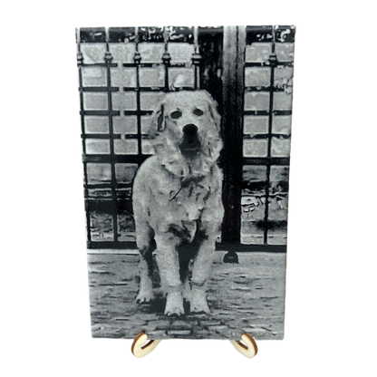 Piastrella Personalizzata Incisa al Laser  | Immagine e Testo Personalizzati