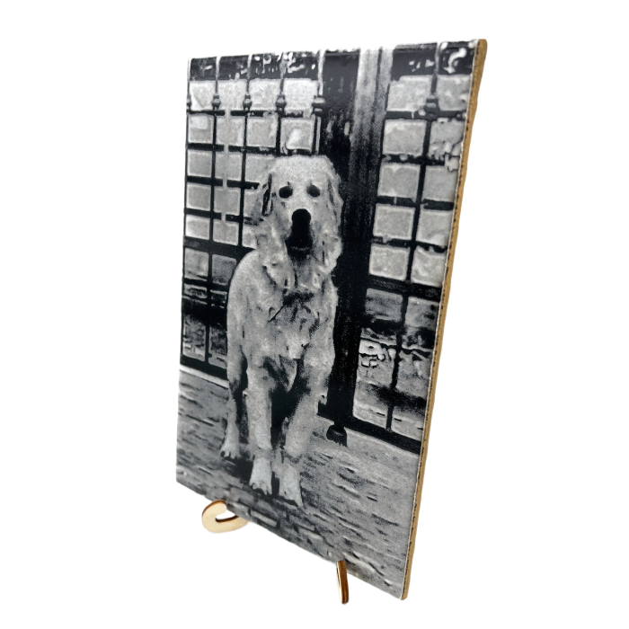 Piastrella Personalizzata Incisa al Laser  | Immagine e Testo Personalizzati