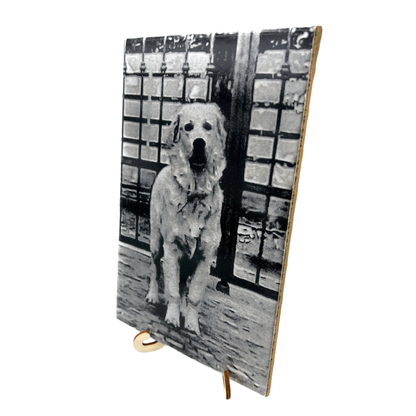 Piastrella Personalizzata Incisa al Laser  | Immagine e Testo Personalizzati