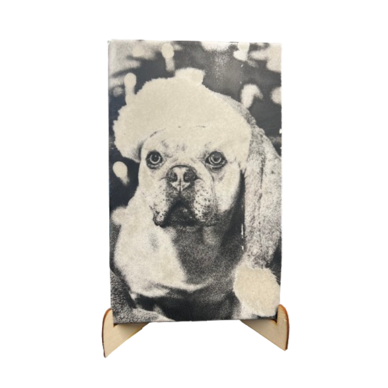 Piastrella Personalizzata Incisa al Laser  | Immagine e Testo Personalizzati